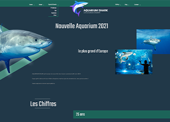 Design Graphique